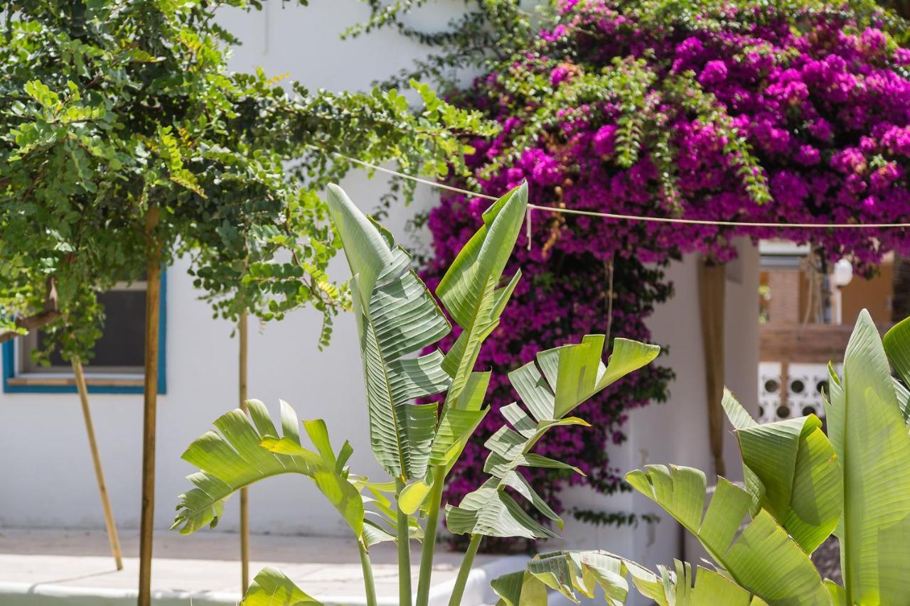 Ca Tauró Villa Dénia Exterior foto